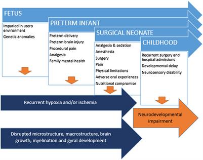 Impact of Comorbid Prematurity and Congenital Anomalies: A Review